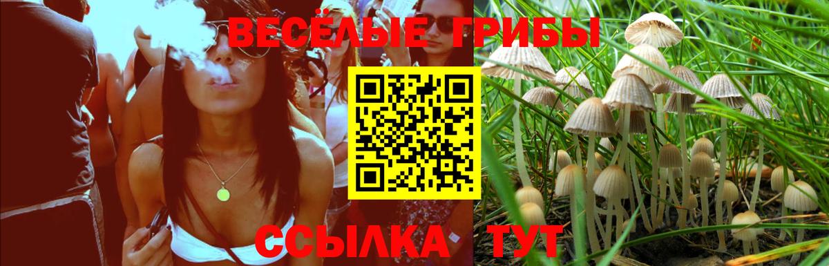 Мытищи  Галлюциногенные грибы мухоморы  Вход с VPN  Галлюциногенные грибы MAGIC MUSHROOMS 