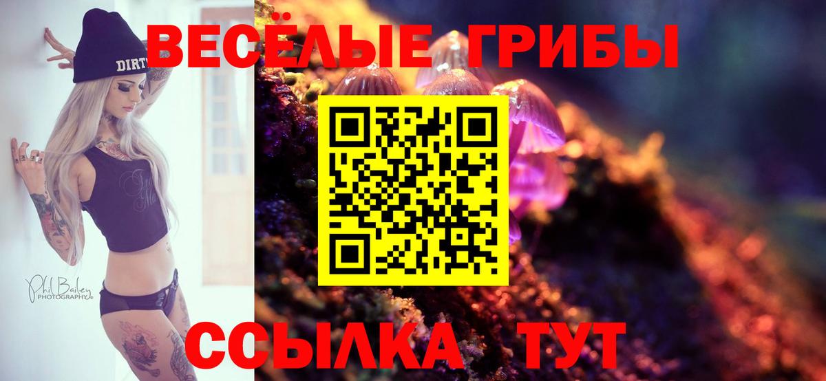 Галлюциногенные грибы Psilocybine cubensis Мытищи